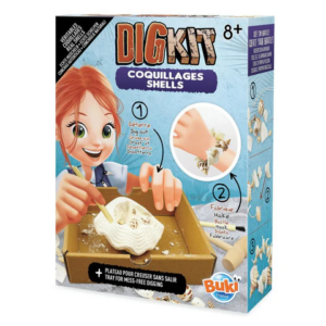 Dig Kit Coquillages