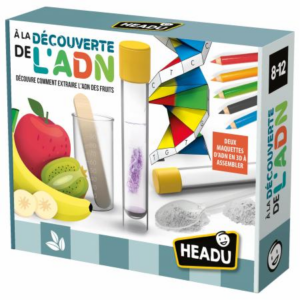 A la découverte de l'ADN